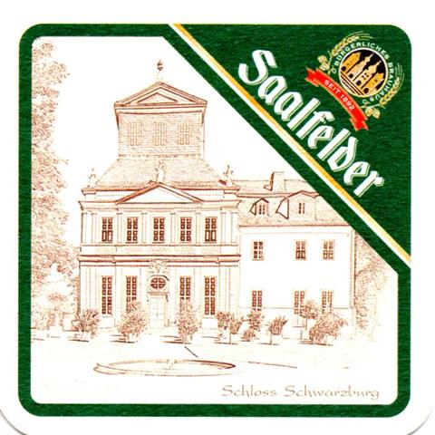saalfeld slf-th saalfelder bauwerk schwarz 13a (quad185-schloss schwarzburg)
